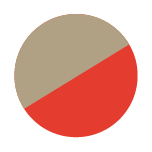 RXT-X RS 325 nnaranja beige