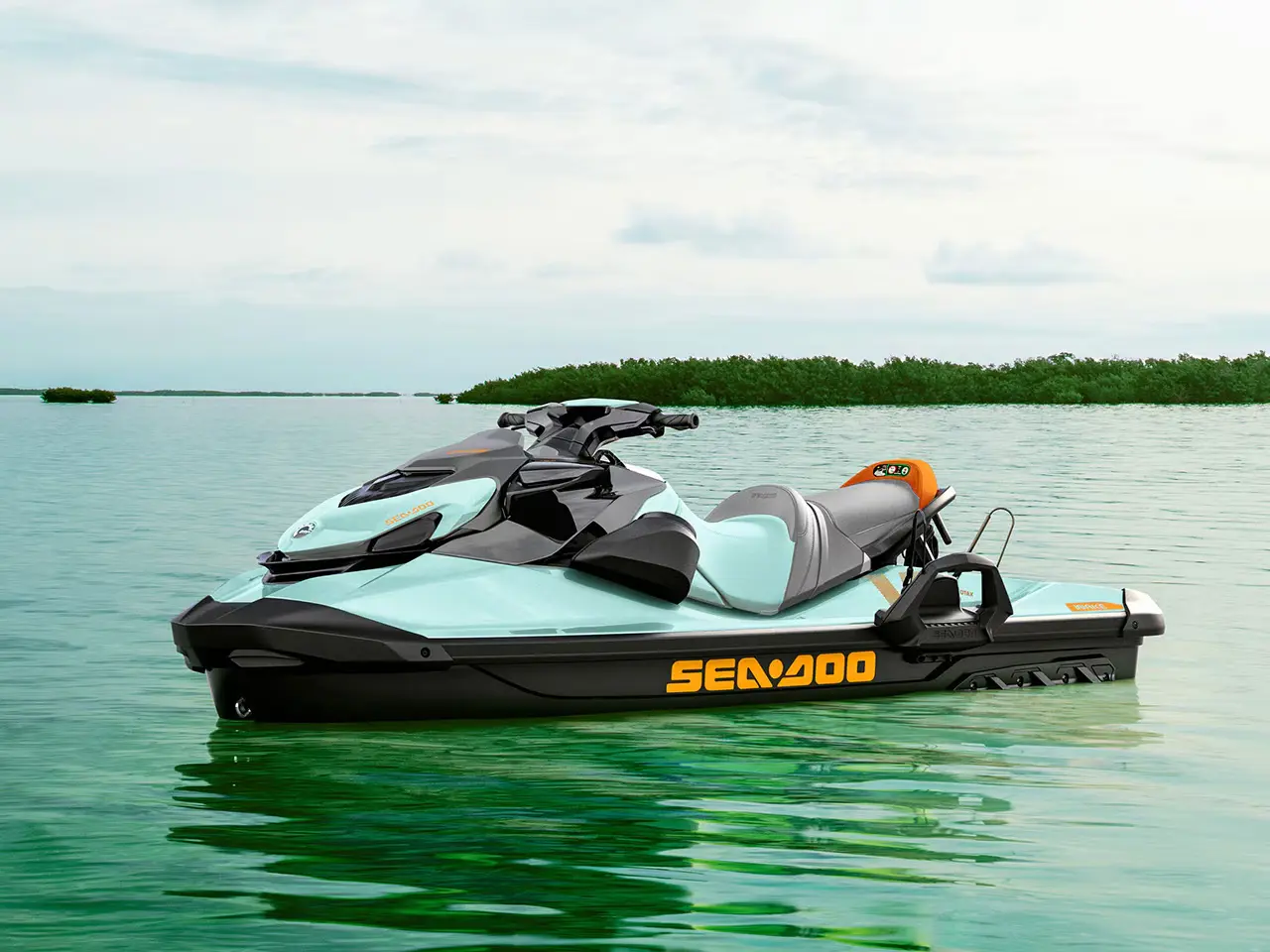 Sea-Doo wake en el agua