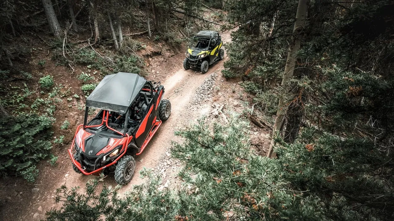 maverick trail cruzando el bosque